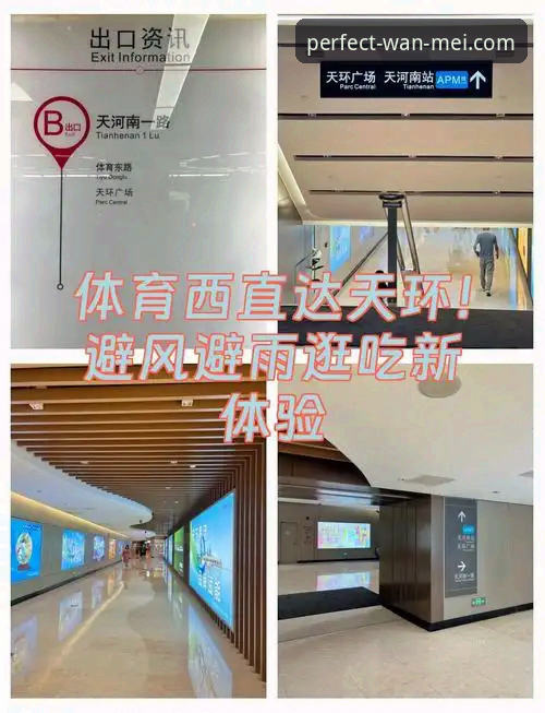 完美体育官网登录与下载实战经验：资深用户分享安全直达通道使用心得